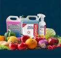 Productos desinfectantes industria alimentaria
