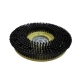 Cepillo duro para abrillantadoras AG380/430