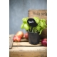 Pack de 5 etiquetas pizarra decor ovalo 4